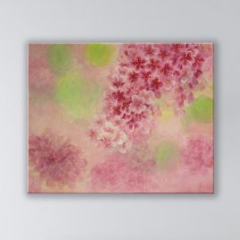 Cherry Blossoms