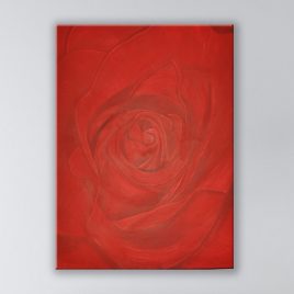 Red Rose